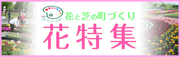 花と芝生の町づくり花特集