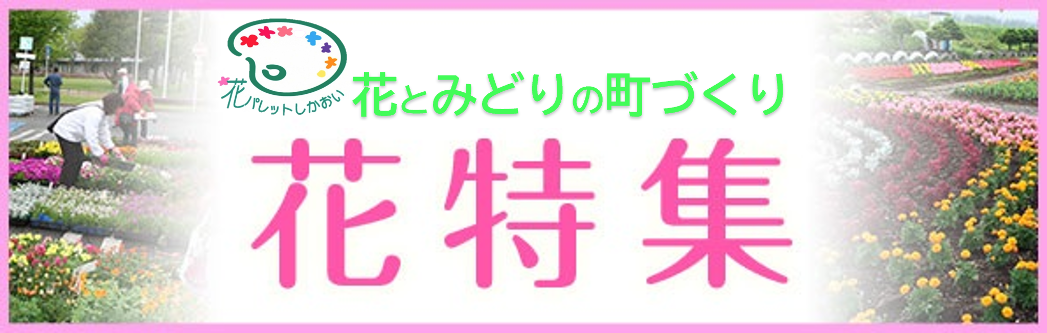 花とみどりの町づくり花特集