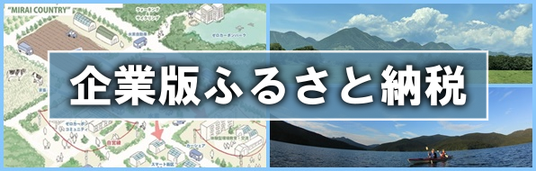 企業版ふるさと納税