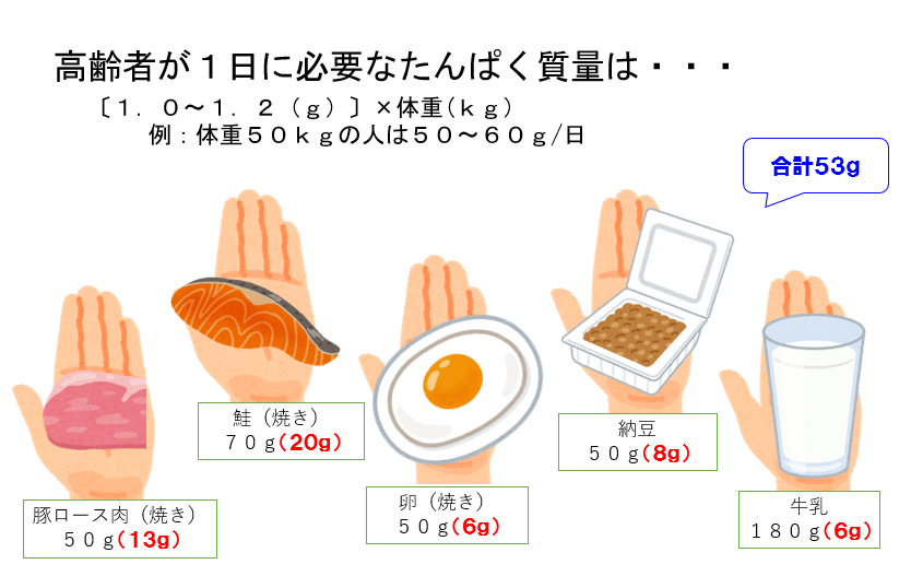 たんぱく質の目安