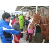 小学生の受入・交流