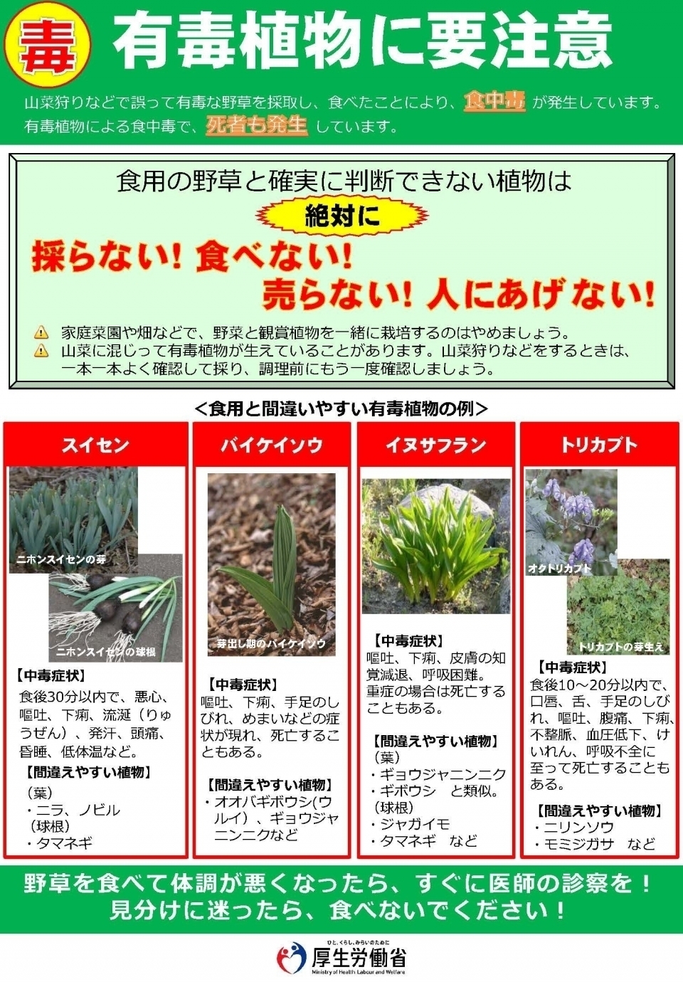 「有毒植物に要注意（チラシ）」（厚生労働省）