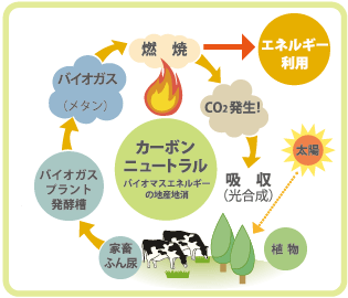 ニュートラル は カーボン と トヨタ自動車、「カーボンニュートラル先行開発センター」を新設